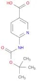 3-Pyridinecarboxylic acid, 6-[[(1,1-dimethylethoxy)carbonyl]amino]-