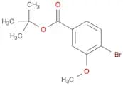 tert-Butyl 4-bromo-3-methoxybenzoate