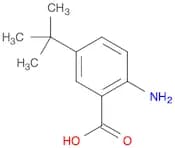 2-Amino-5-tert-butylbenzoic acid