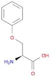 O-Phenyl-L-serine