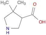 3-Pyrrolidinecarboxylic acid, 4,4-dimethyl-