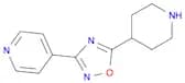 4-[5-(Piperidin-4-yl)-1,2,4-oxadiazol-3-yl]pyridine