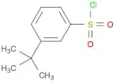 Benzenesulfonyl chloride, 3-(1,1-dimethylethyl)-