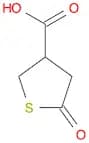 5-Oxothiolane-3-carboxylic acid