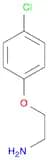 2-(4-Chlorophenoxy)ethanamine