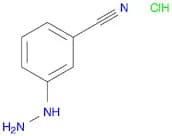 3-Cyanophenylhydrazine, HCl