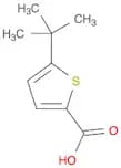 2-Thiophenecarboxylic acid, 5-(1,1-dimethylethyl)-