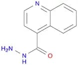 Quinoline-4-carbohydrazide hydrate