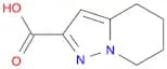 Pyrazolo[1,5-a]pyridine-2-carboxylic acid, 4,5,6,7-tetrahydro-