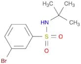 N-tert-Butyl 3-bromobenzenesulfonamide