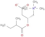 (3R)-3-((2-Methylbutanoyl)oxy)-4-(trimethylammonio)butanoate