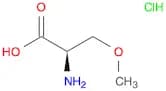 (R)-2-Amino-3-methoxypropanoic acid HCl
