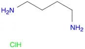 1,4-Diaminobutane DiHCl