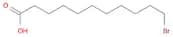 11-Bromoundecanoic acid