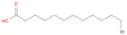 12-Bromododecanoic acid