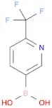 2-Trifluoromethylpyridine-5-boronic acid