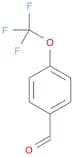 4-Trifluoromethoxybenzaldehyde