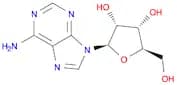 (2R,3R,4S,5R)-2-(6-amino-9H-purin-9-yl)-5-(hydroxymethyl)oxolane-3,4-diol
