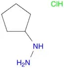Cyclopentylhydrazine, HCl