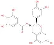 (-)-Epicatechingallate