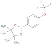 4-Trifluoromethoxyphenylboronic acid, pinacol ester