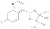 7-Chloroquinoline-4-boronic acid, pinacol ester