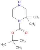 tert-Butyl 2,2-dimethylpiperazine-1-carboxylate