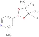 2-methyl-4-(4,4,5,5-tetramethyl-1,3,2-dioxaborolan-2-yl)pyridine