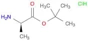D-Alanine tert-butyl ester, HCl