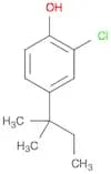 2-Chloro-4-(2-methylbutan-2-yl)phenol