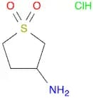 1,1-Dioxidotetrahydrothien-3-ylamine, HCl