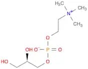 (2-{[(2R)-2,3-dihydroxypropyl phosphonato]oxy}ethyl)trimethylazanium