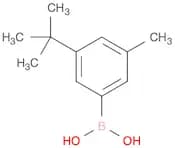 (3-(tert-Butyl)-5-methylphenyl)boronic acid
