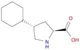 trans-4-Cyclohexyl-L-proline