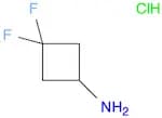 3,3-Difluorocyclobutanamine HCl