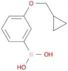 (3-(Cyclopropylmethoxy)phenyl)boronic acid