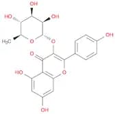 Kaempferol 3-O-rhamnoside