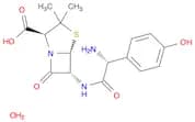 (2S,5R,6R)-6-[(2R)-2-amino-2-(4-hydroxyphenyl)acetamido]-3,3-dimethyl-7-oxo-4-thia-1-azabicyclo[3.…