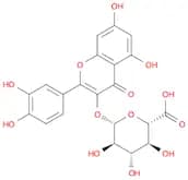 Quercetin 3-O-glucuronide