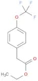 Ethyl 2-(4-(trifluoromethoxy)phenyl)acetate