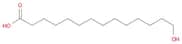 14-Hydroxytetradecanoic acid
