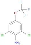 2,6-Dichloro-4-(trifluoromethoxy)aniline