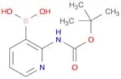 2-(t-Butoxycarbonylamino)pyridine-3-boronic acid