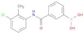 N-(3-Chloro-2-methylphenyl) 3-boronobenzamide