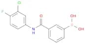 N-(3-Chloro-4-fluorophenyl) 3-boronobenzamide