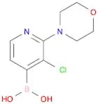 3-Chloro-2-morpholinopyridine-4-boronic acid