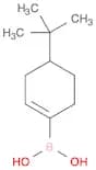 4-t-Butylcyclohexen-1-ylboronic acid