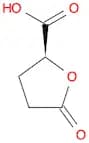 (S)-5-Oxotetrahydrofuran-2-carboxylic acid