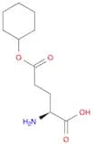 L-Glutamic acid γ-cyclohexyl ester
