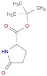 (S)-tert-Butyl 5-oxopyrrolidine-2-carboxylate